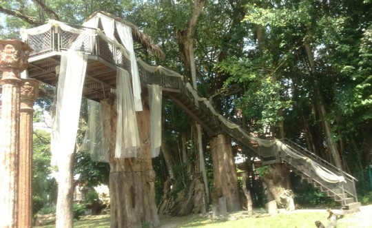 Tree House で癒しのひと時～コロニアル・ペナン・ミュージアム　in マレーシア～