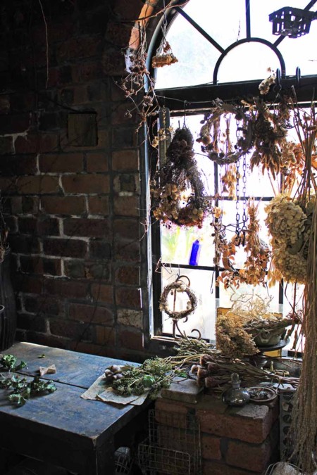 「小屋と植物の物語」が素敵な「フローラ黒田園芸」にいってきました。
